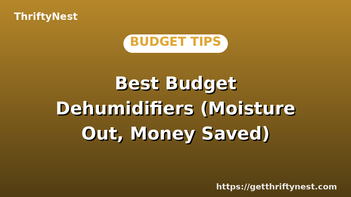 Best Budget Dehumidifiers (Moisture Out, Money Saved)