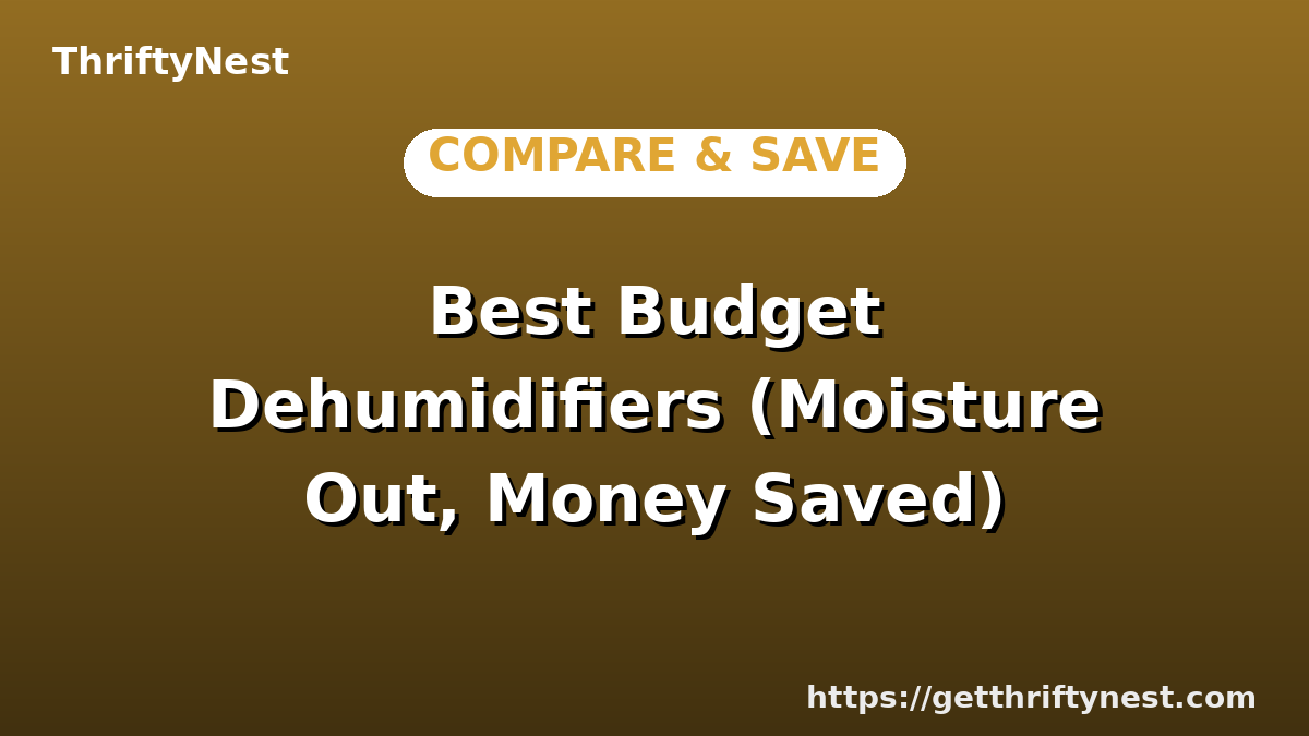 Best Budget Dehumidifiers (Moisture Out, Money Saved)