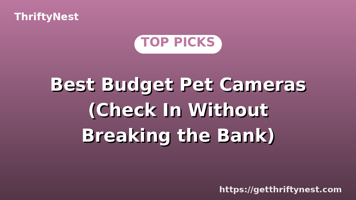Best Budget Pet Cameras (Check In Without Breaking the Bank)