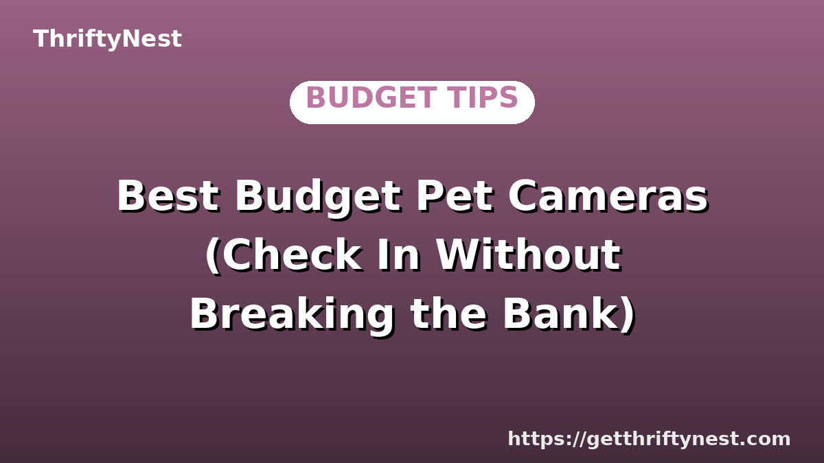 Best Budget Pet Cameras (Check In Without Breaking the Bank)