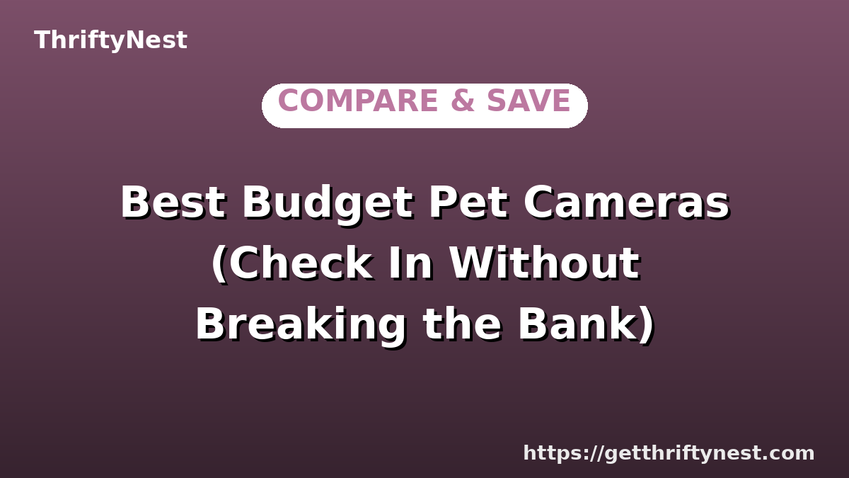 Best Budget Pet Cameras (Check In Without Breaking the Bank)