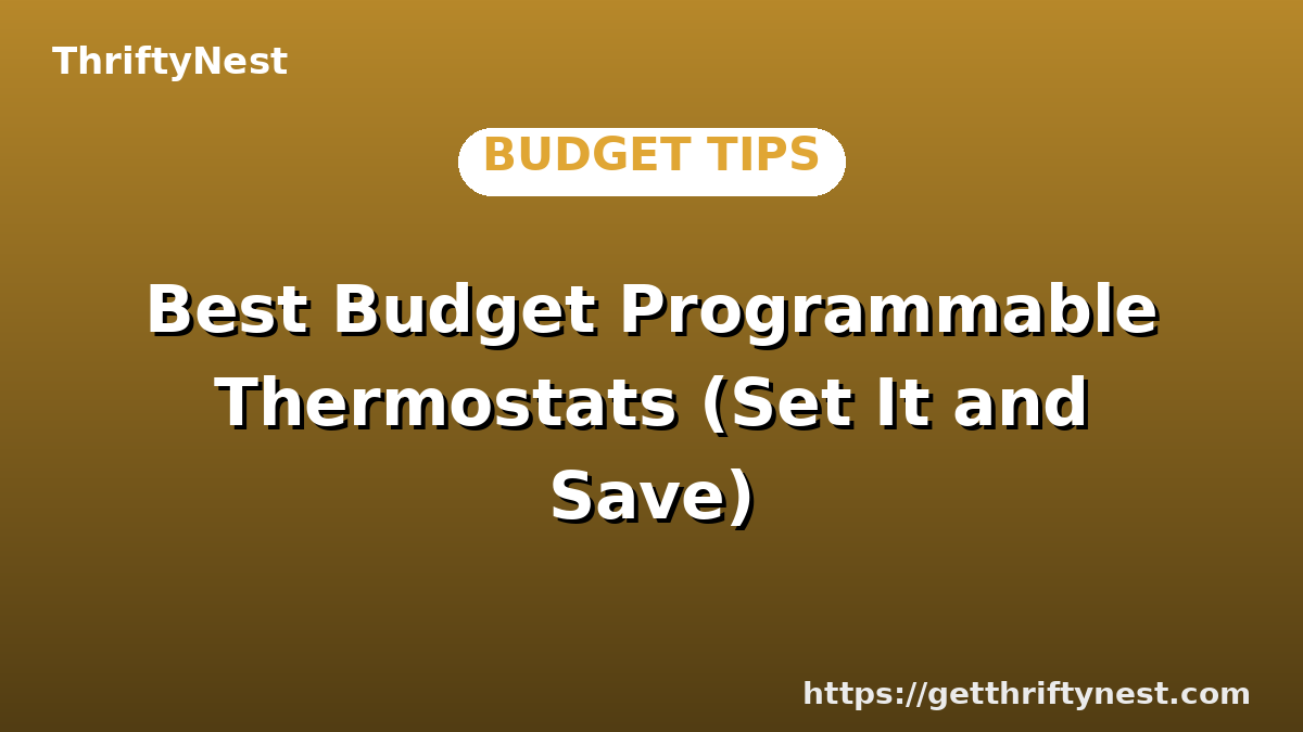 Best Budget Programmable Thermostats (Set It and Save)