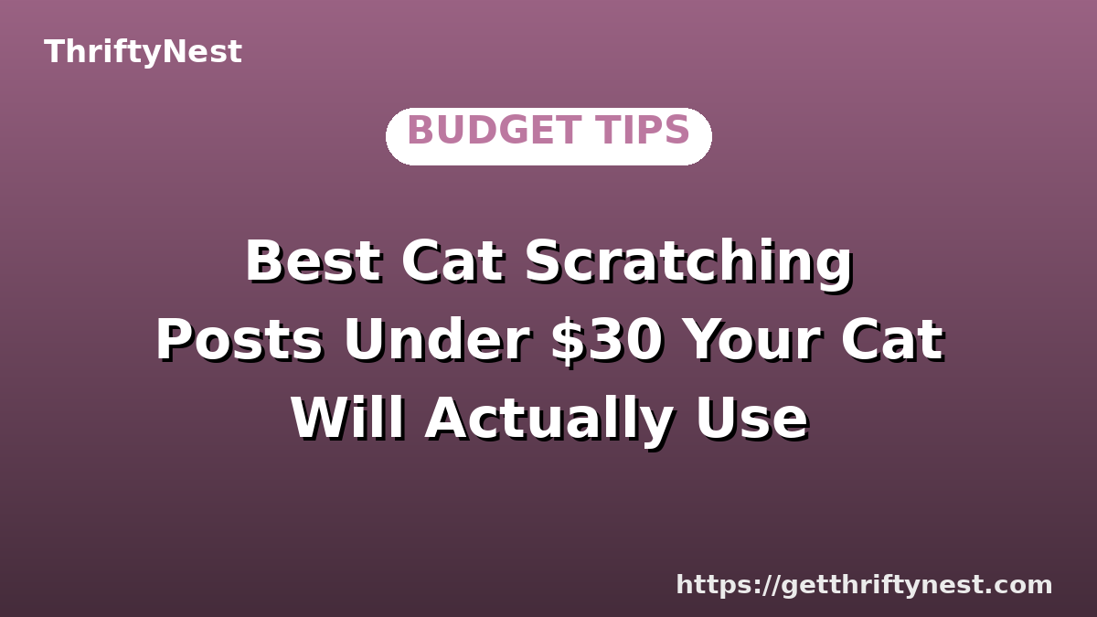 Best Cat Scratching Posts Under $30 Your Cat Will Actually Use