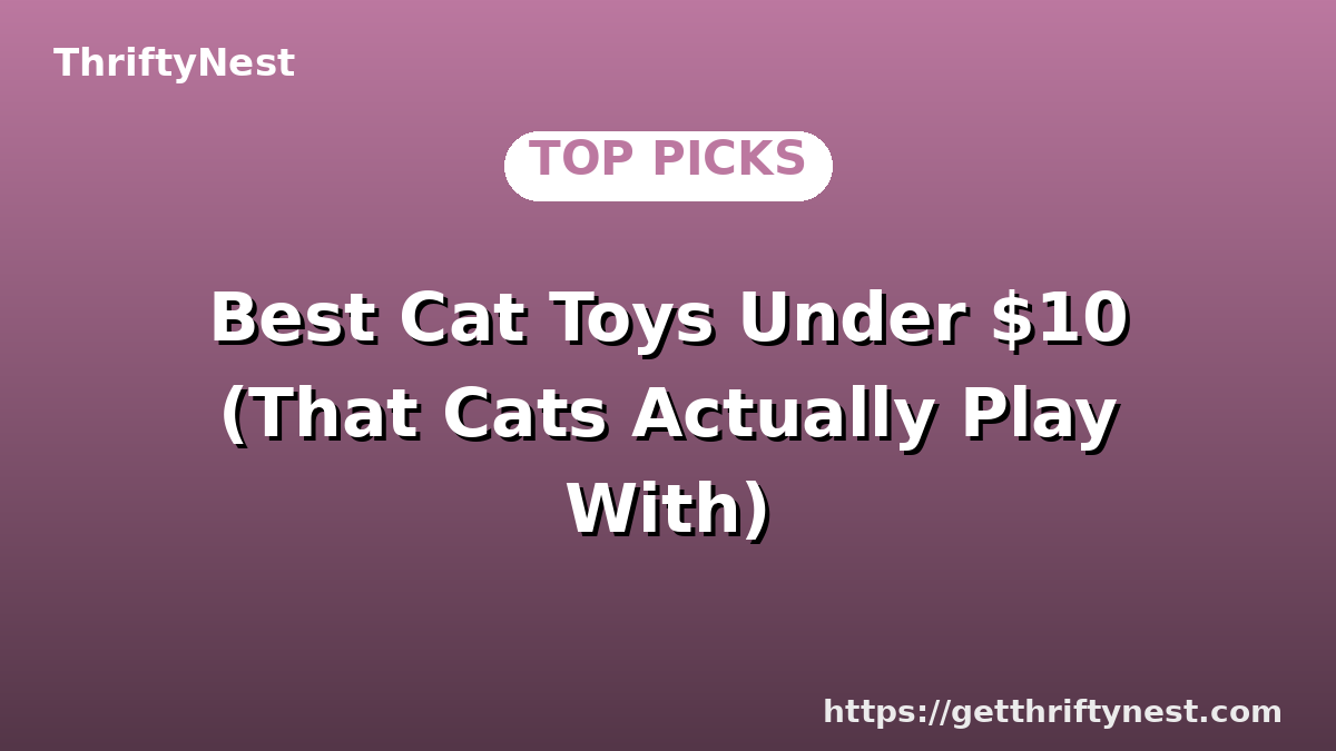 Best Cat Toys Under $10 (That Cats Actually Play With)