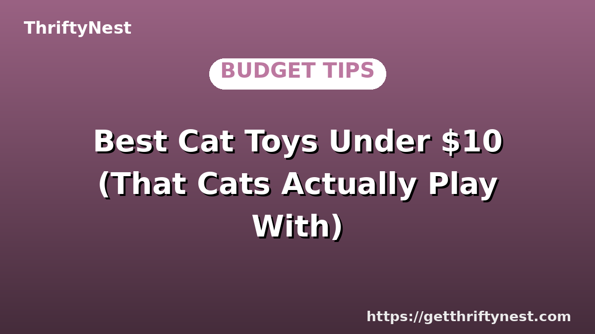 Best Cat Toys Under $10 (That Cats Actually Play With)