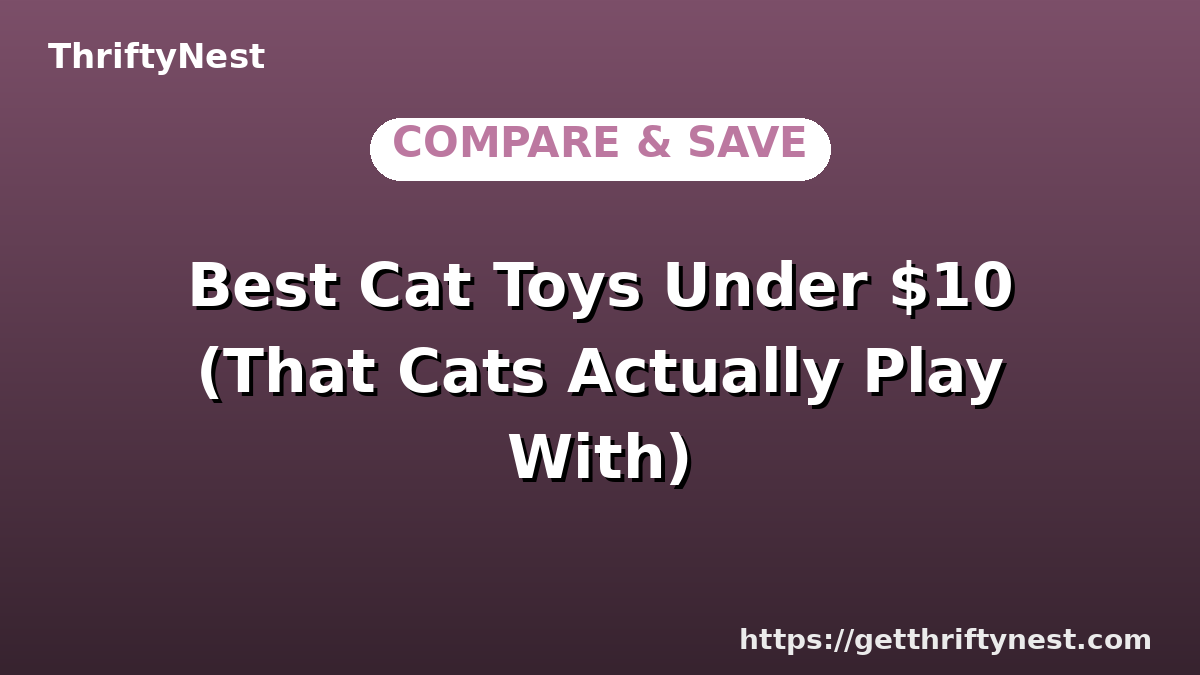 Best Cat Toys Under $10 (That Cats Actually Play With)