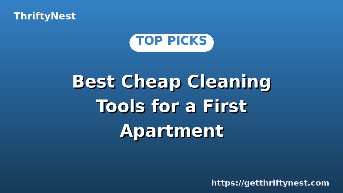 Best Cheap Cleaning Tools for a First Apartment