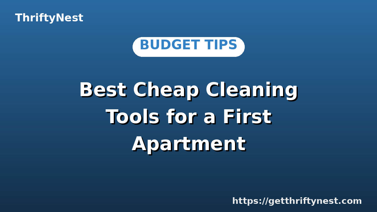 Best Cheap Cleaning Tools for a First Apartment