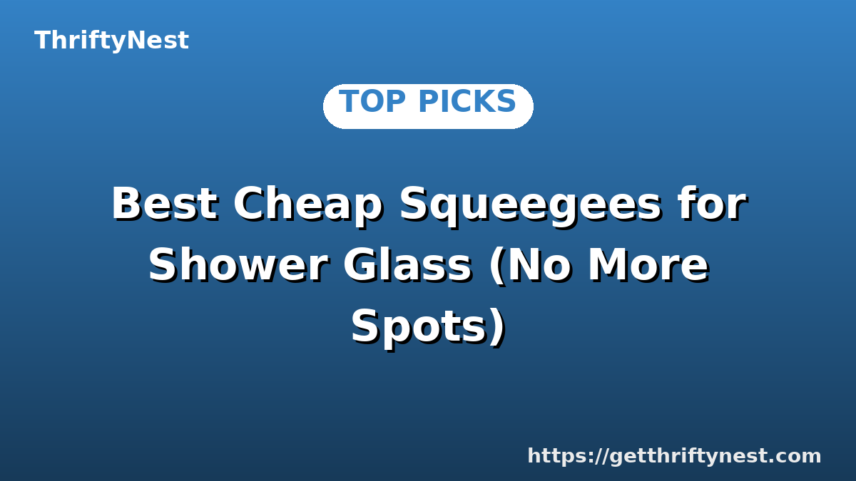 Best Cheap Squeegees for Shower Glass (No More Spots)