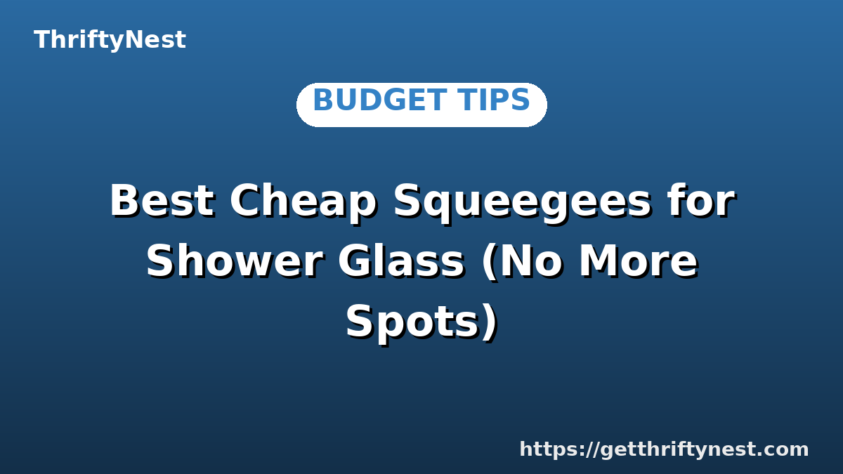 Best Cheap Squeegees for Shower Glass (No More Spots)
