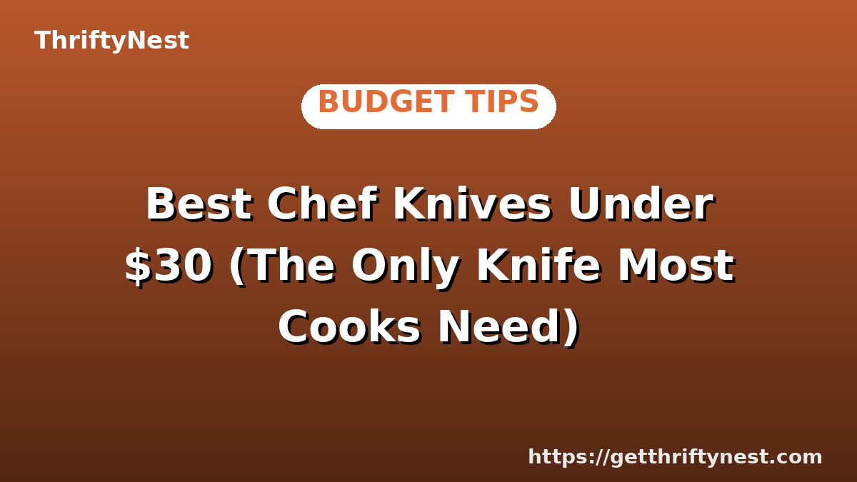 Best Chef Knives Under $30 (The Only Knife Most Cooks Need)
