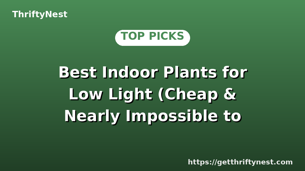 Best Indoor Plants for Low Light (Cheap & Nearly Impossible to Kill)