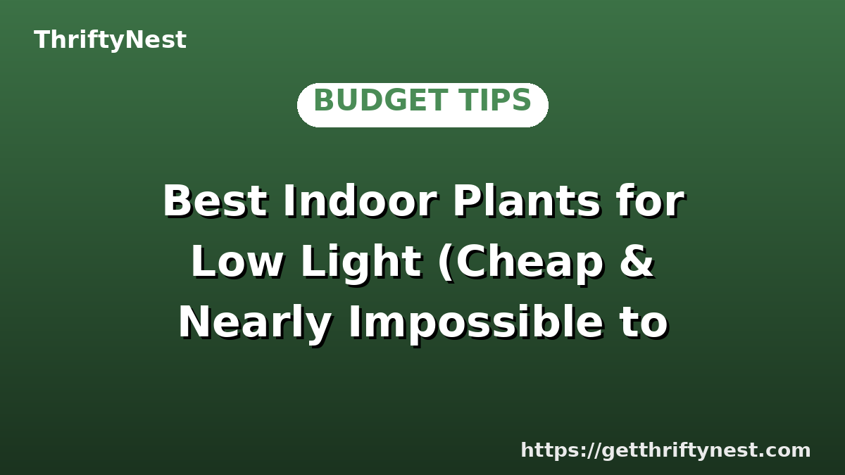 Best Indoor Plants for Low Light (Cheap & Nearly Impossible to Kill)