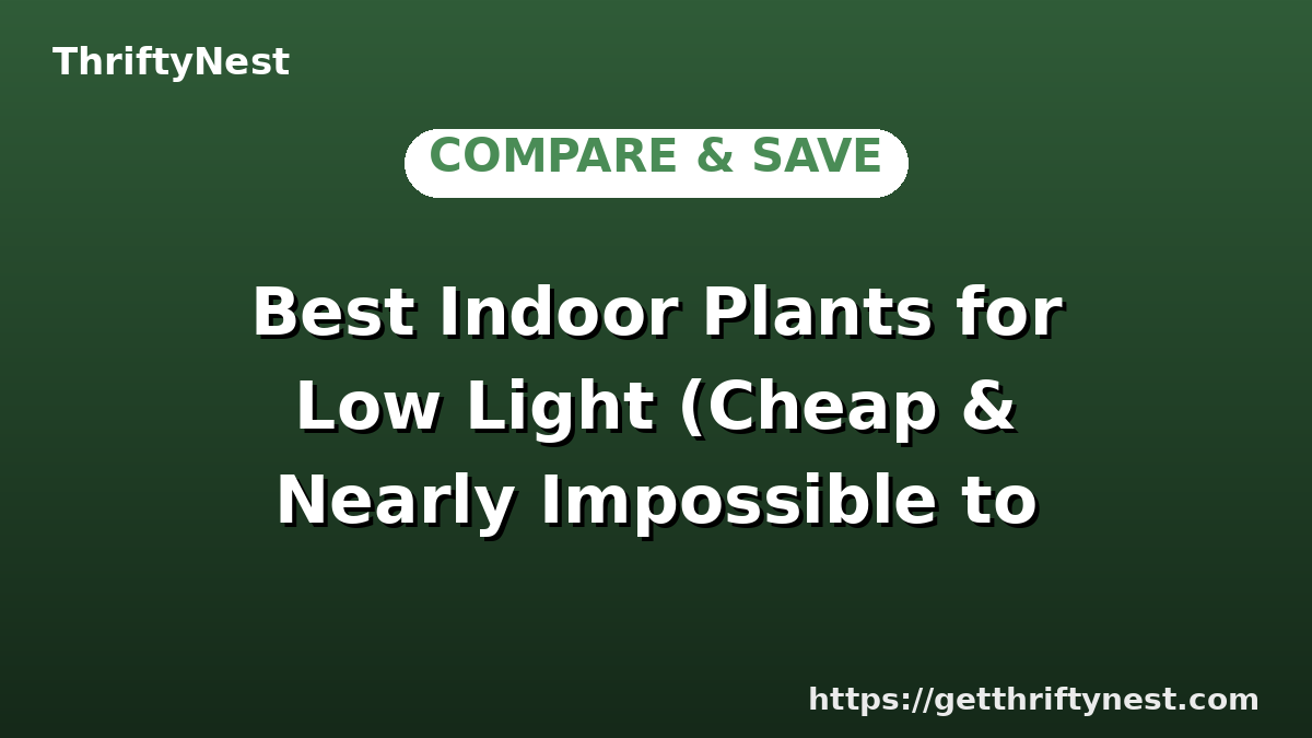 Best Indoor Plants for Low Light (Cheap & Nearly Impossible to Kill)