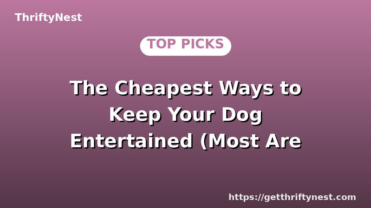 The Cheapest Ways to Keep Your Dog Entertained (Most Are Free)