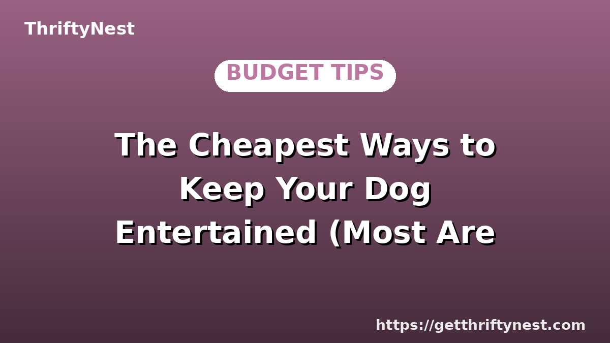 The Cheapest Ways to Keep Your Dog Entertained (Most Are Free)