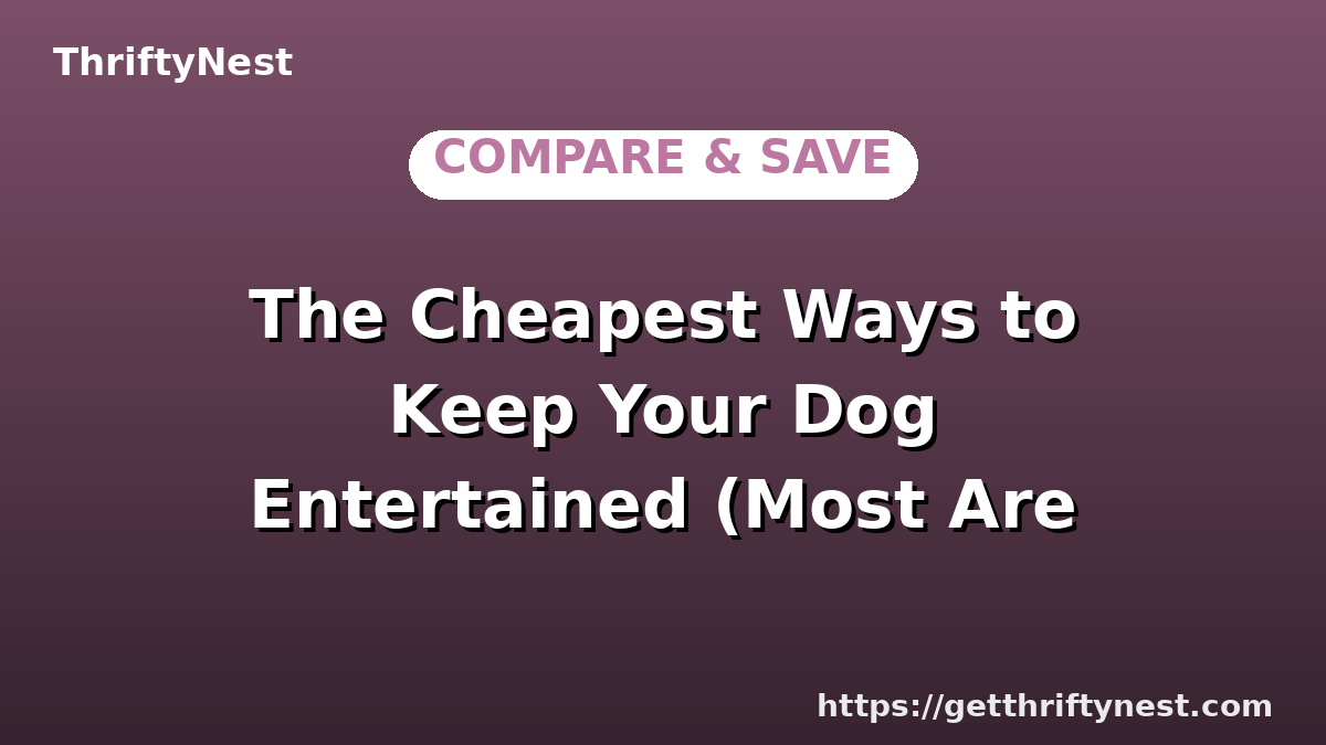 The Cheapest Ways to Keep Your Dog Entertained (Most Are Free)