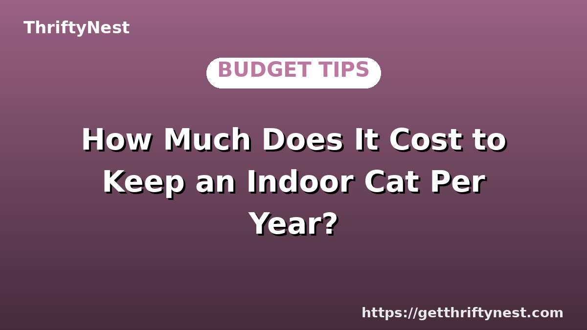 How Much Does It Cost to Keep an Indoor Cat Per Year?