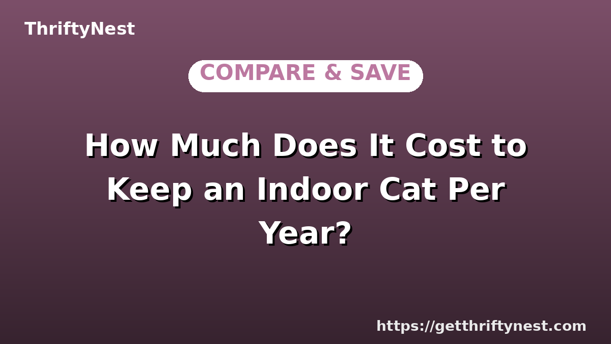 How Much Does It Cost to Keep an Indoor Cat Per Year?