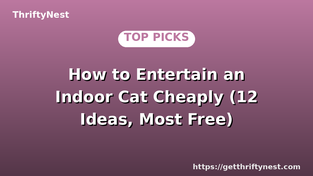 How to Entertain an Indoor Cat Cheaply (12 Ideas, Most Free)