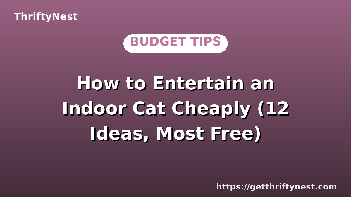 How to Entertain an Indoor Cat Cheaply (12 Ideas, Most Free)