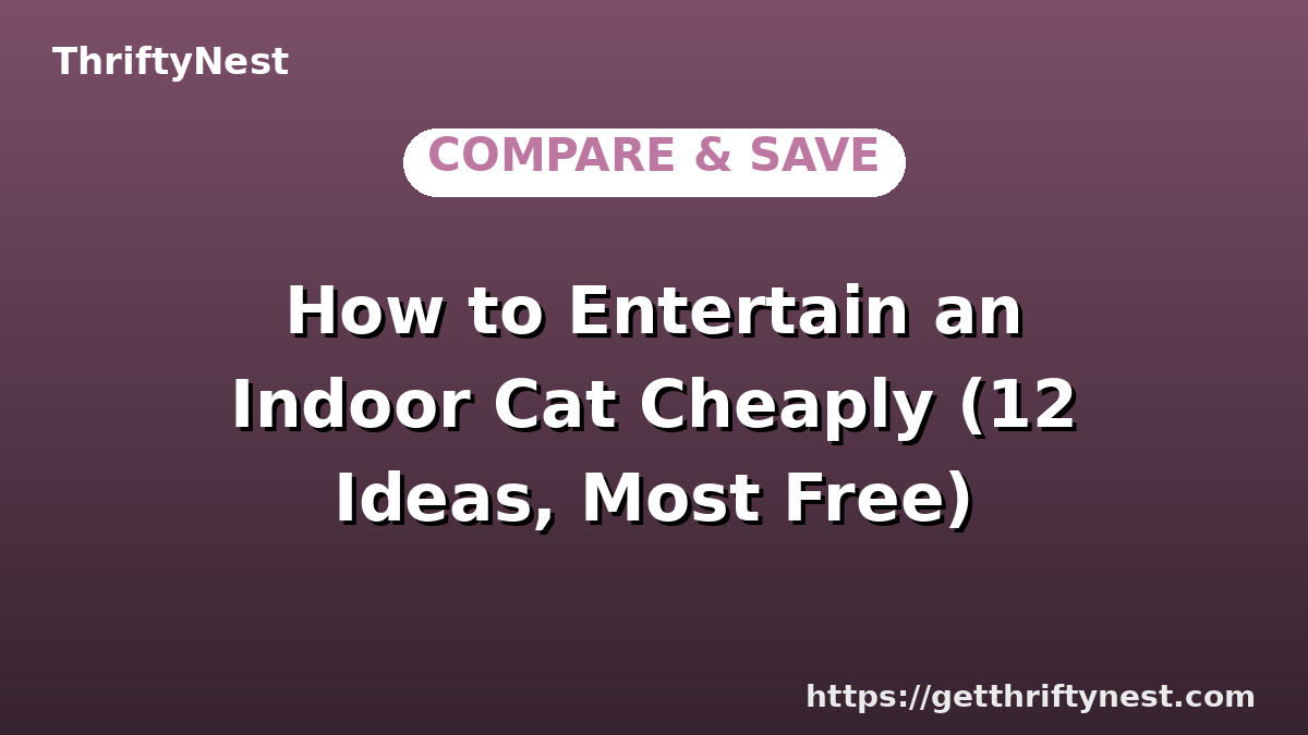 How to Entertain an Indoor Cat Cheaply (12 Ideas, Most Free)