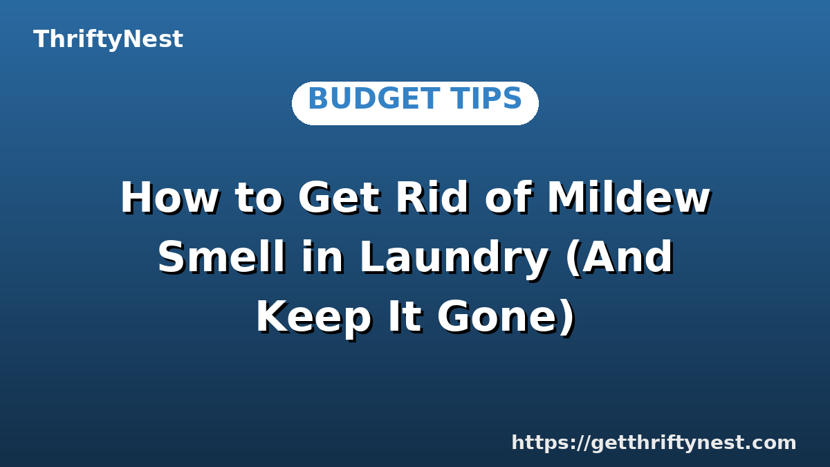 How to Get Rid of Mildew Smell in Laundry (And Keep It Gone)