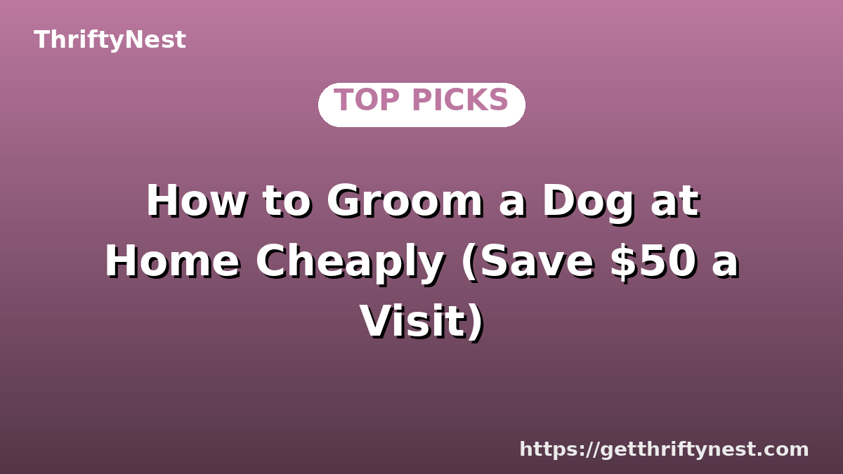 How to Groom a Dog at Home Cheaply (Save $50 a Visit)