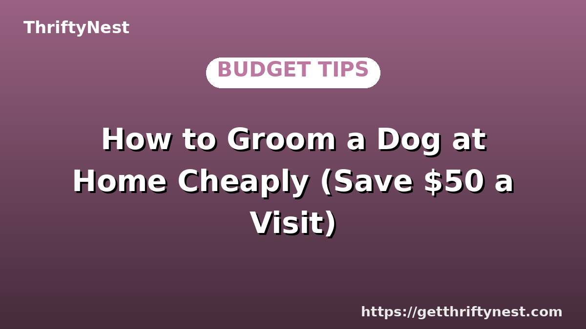 How to Groom a Dog at Home Cheaply (Save $50 a Visit)