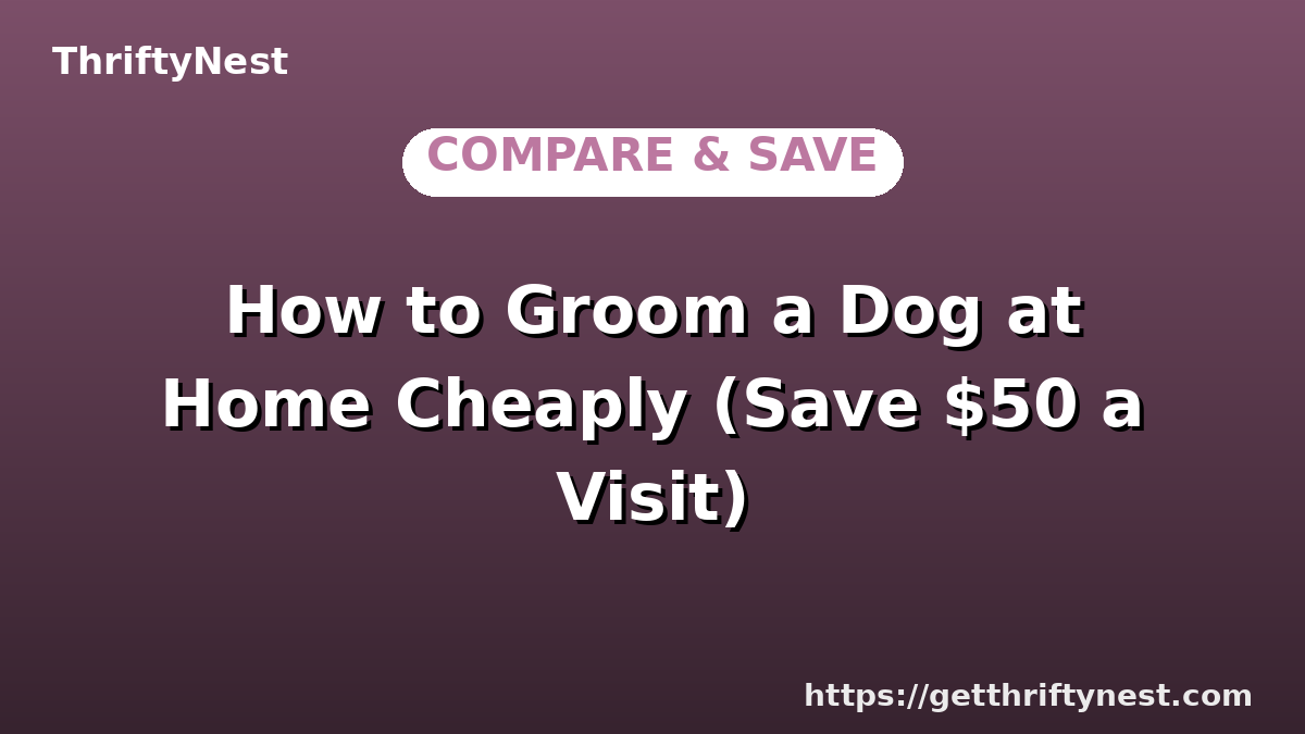 How to Groom a Dog at Home Cheaply (Save $50 a Visit)