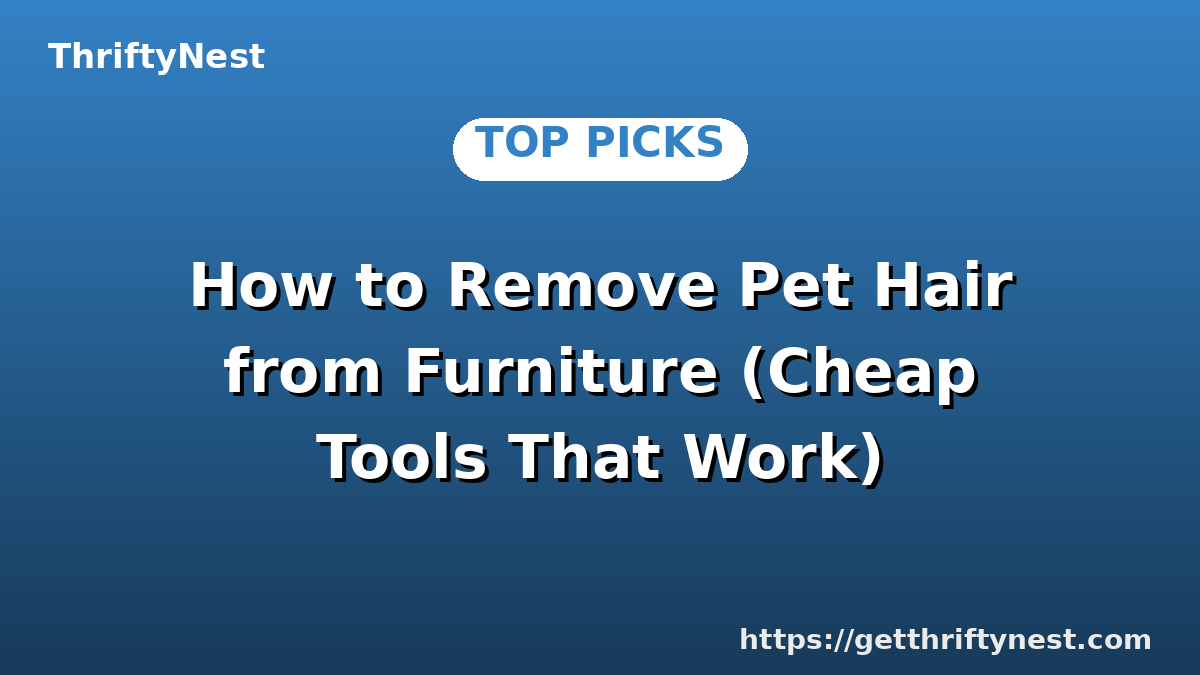 How to Remove Pet Hair from Furniture (Cheap Tools That Work)