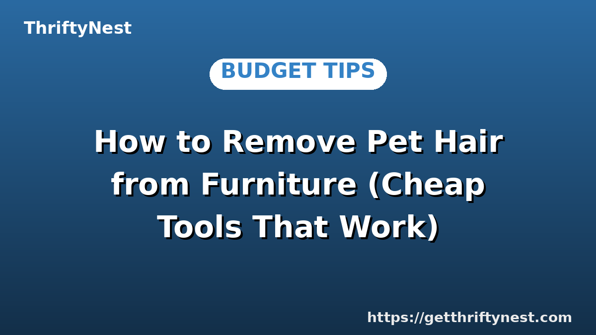 How to Remove Pet Hair from Furniture (Cheap Tools That Work)