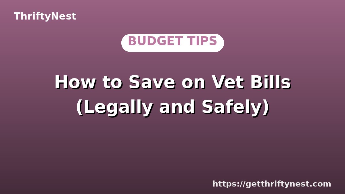 How to Save on Vet Bills (Legally and Safely)