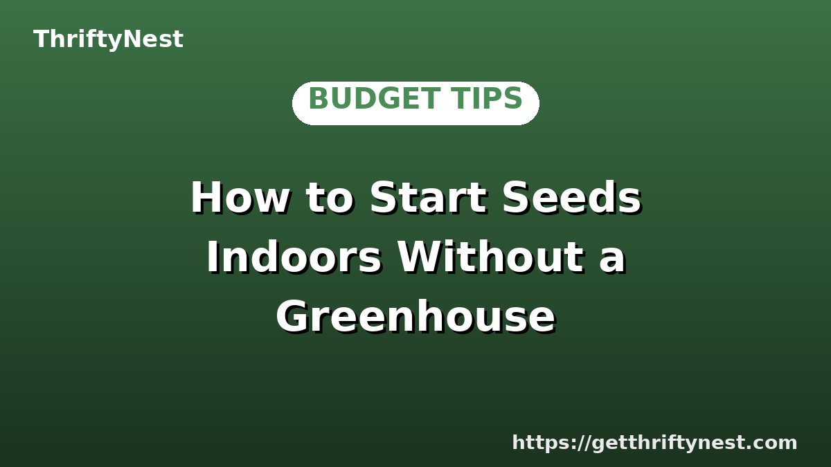 How to Start Seeds Indoors Without a Greenhouse