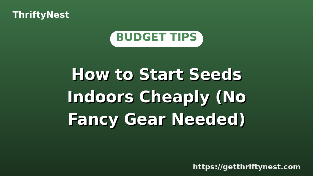 How to Start Seeds Indoors Cheaply (No Fancy Gear Needed)