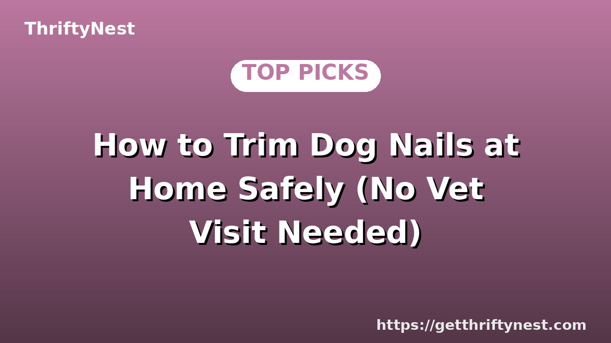 How to Trim Dog Nails at Home Safely (No Vet Visit Needed)