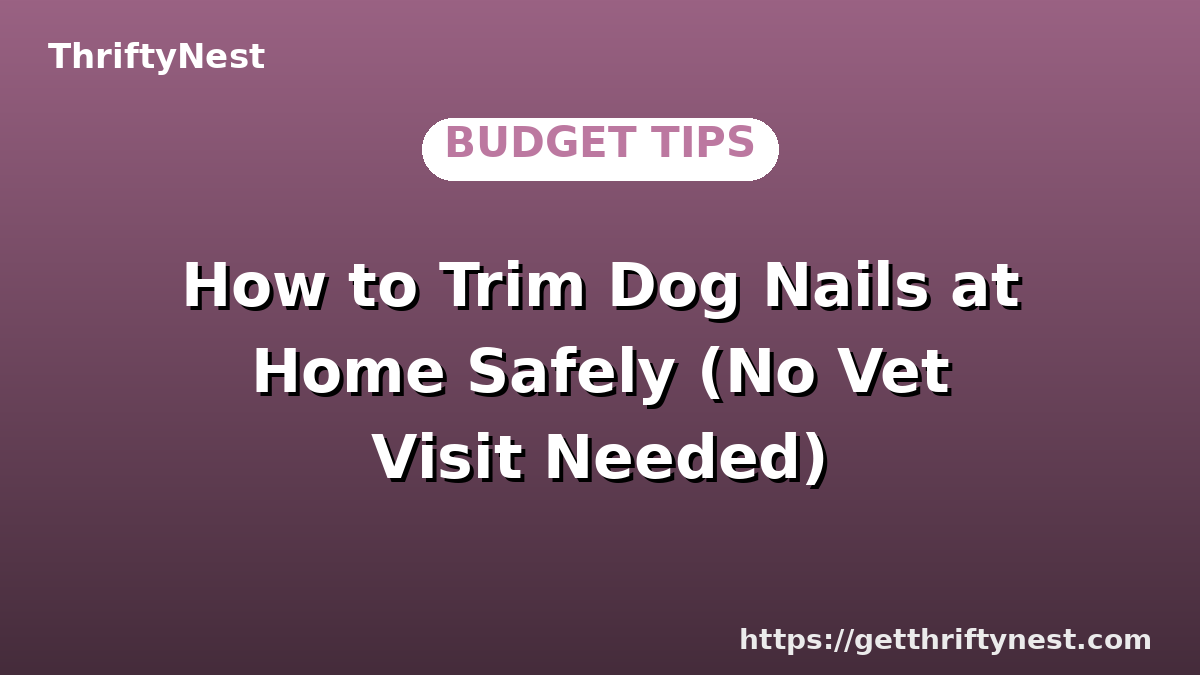How to Trim Dog Nails at Home Safely (No Vet Visit Needed)