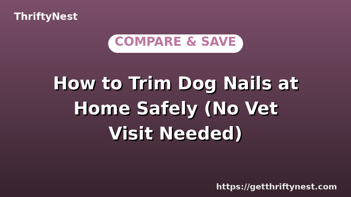 How to Trim Dog Nails at Home Safely (No Vet Visit Needed)
