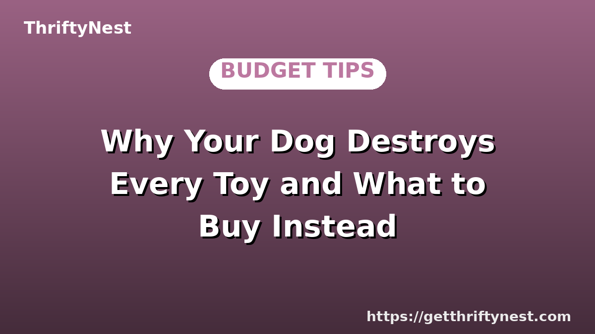 Why Your Dog Destroys Every Toy and What to Buy Instead
