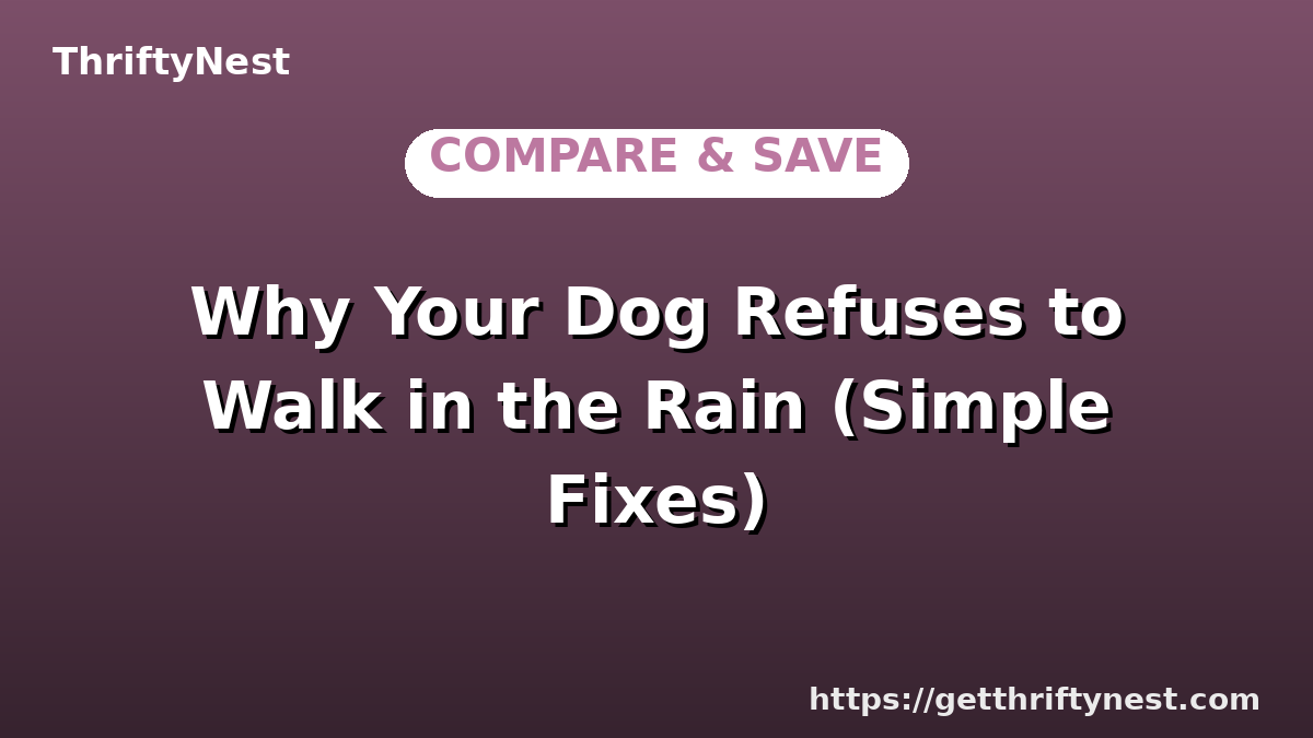 Why Your Dog Refuses to Walk in the Rain (Simple Fixes)